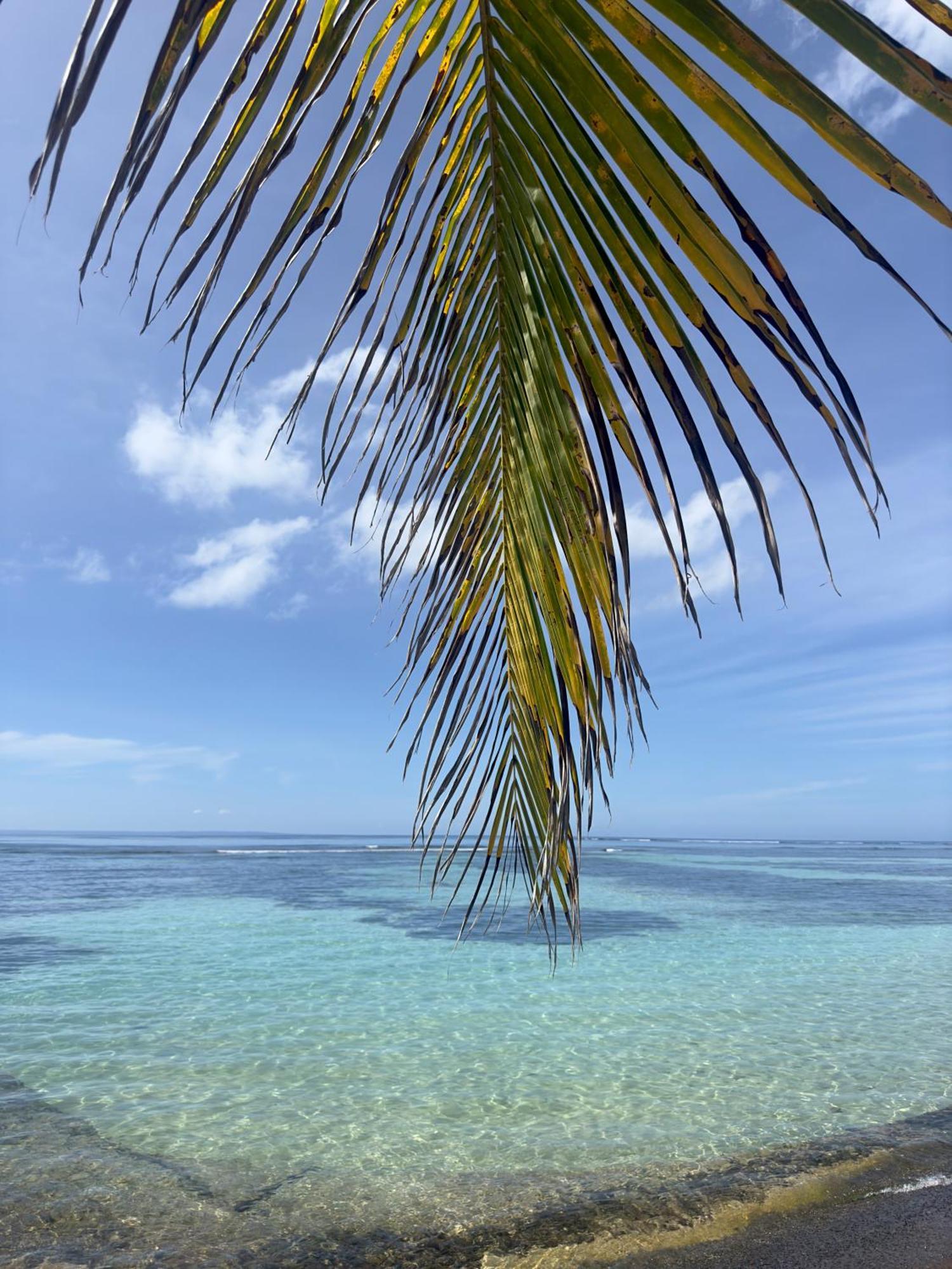 Unique : Pieds Dans L'Eau Face Au Lagon Sainte-Anne  Exterior photo